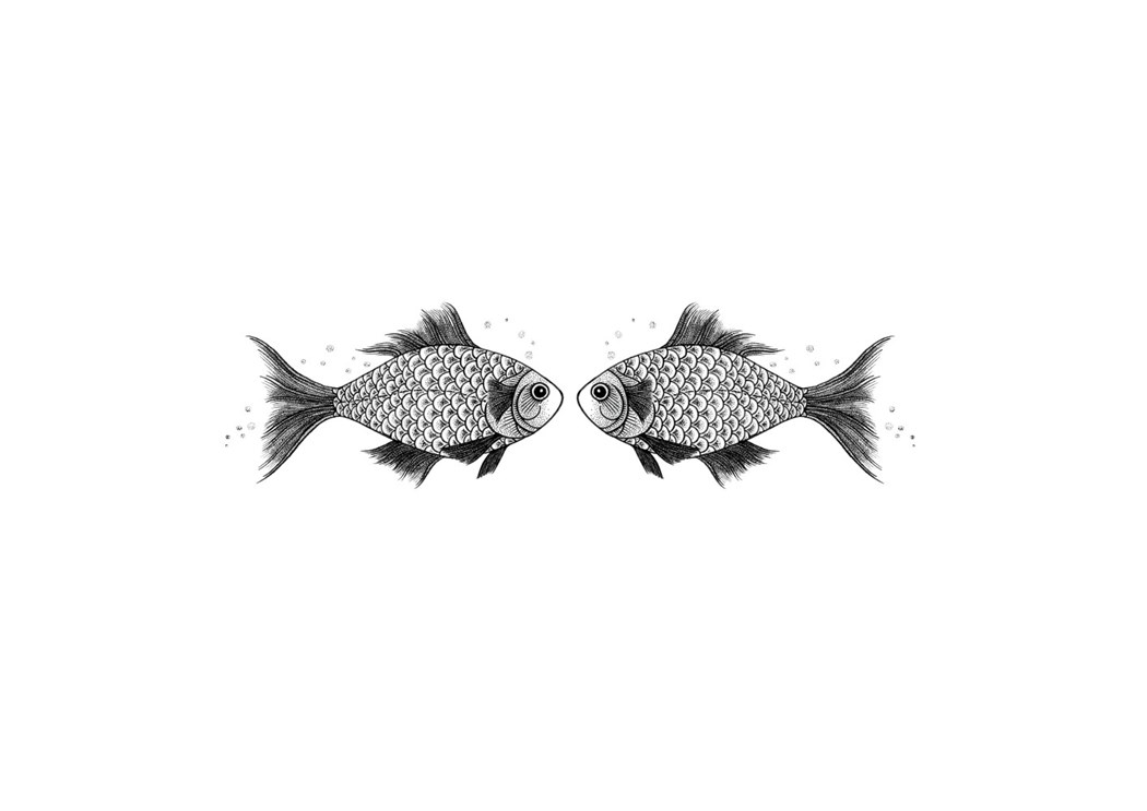 Fish illustration Tom Berry