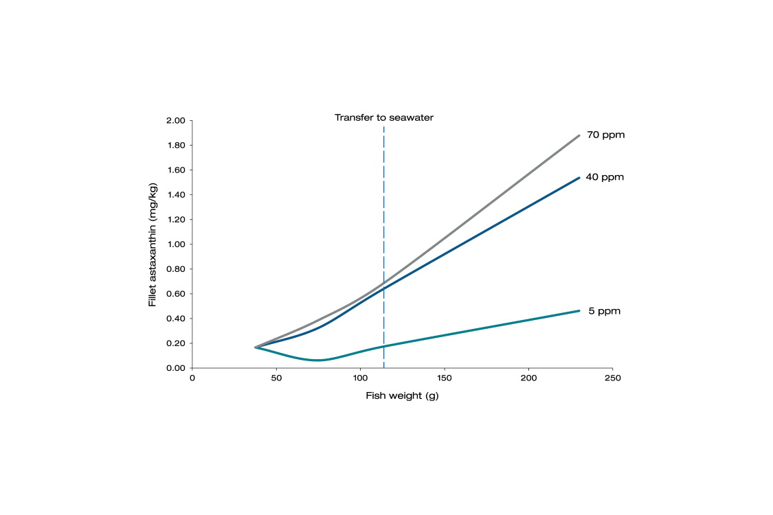 Pigmentation graph