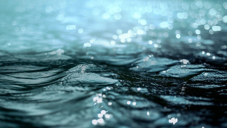Sea