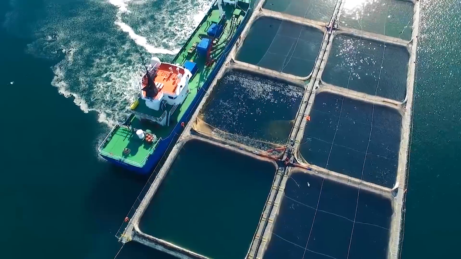 Salmon farm at sea in Chile