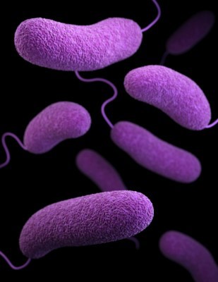 Proteon phages