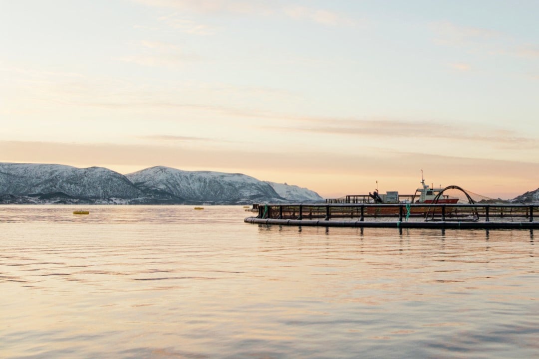 Salmon farm sunset