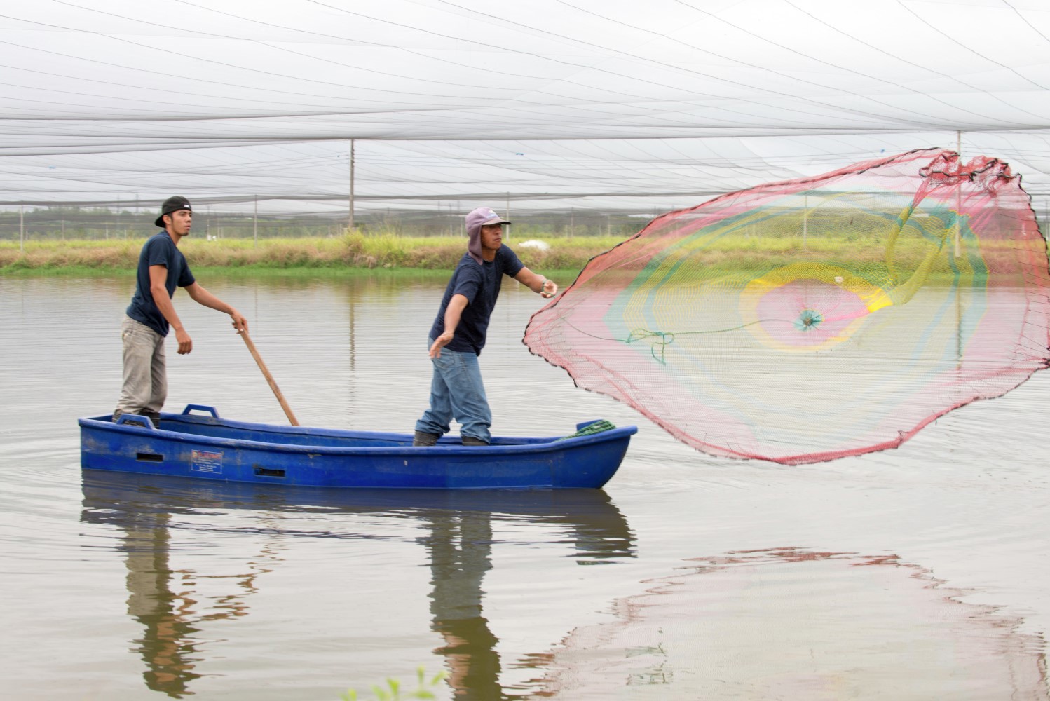 Shrimp farmers in Ecuador