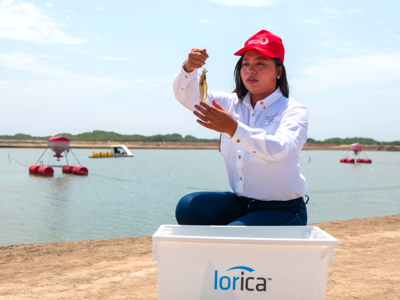 Skretting technical advisor holding Lorica-fed shrimp