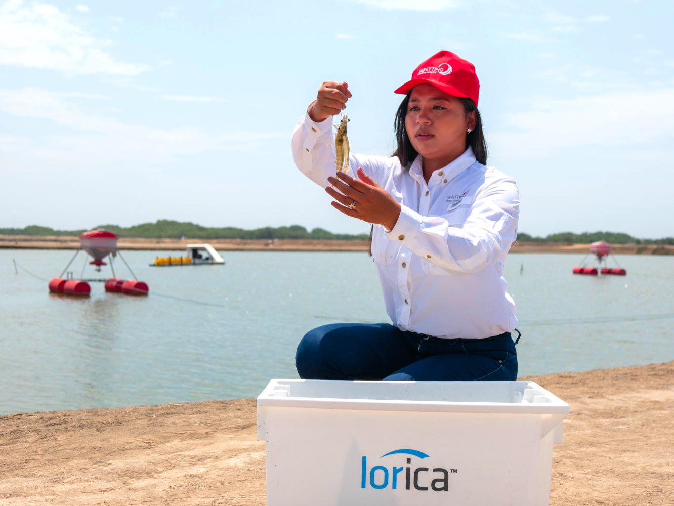 Skretting employee holding Lorica fed shrimp