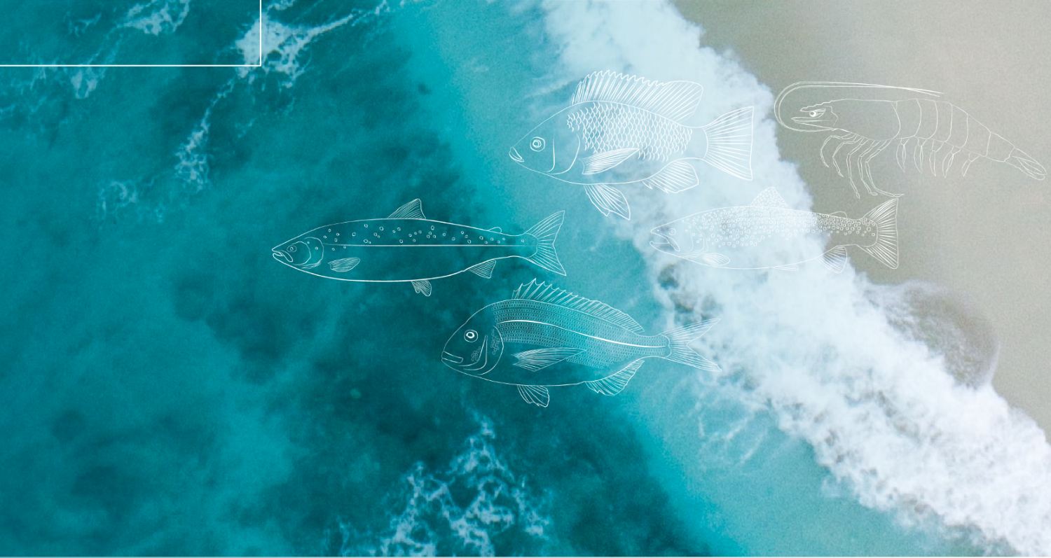 Sustainability report 2019 teaser