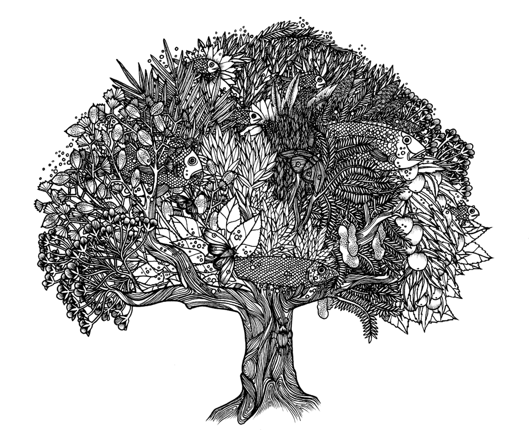 Tree illustration, Tom Berry