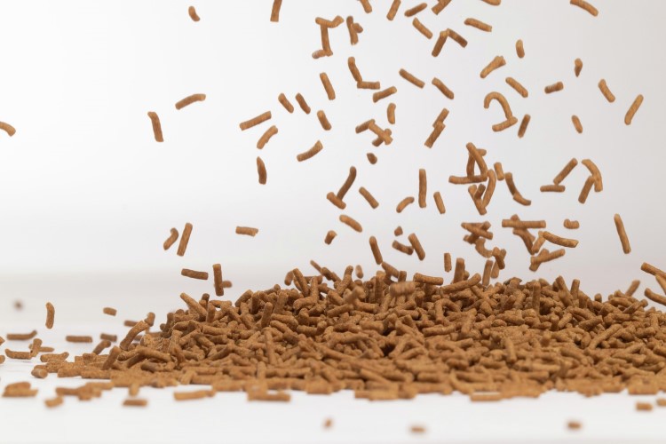 Shrimp feed