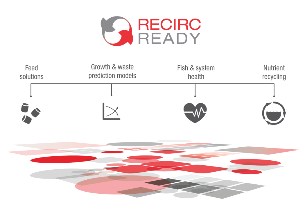 RecircReady graphic