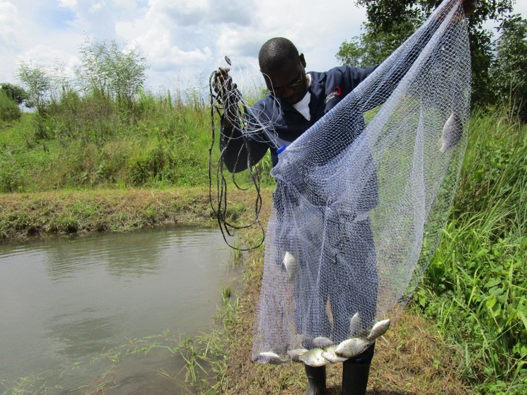 Zambian farmer with net