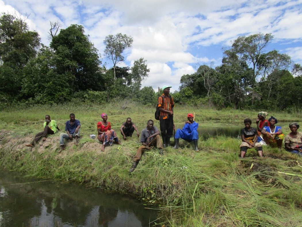 Zambian farmers 