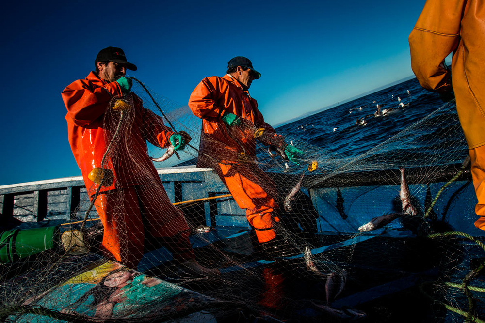 Fishermen at pen