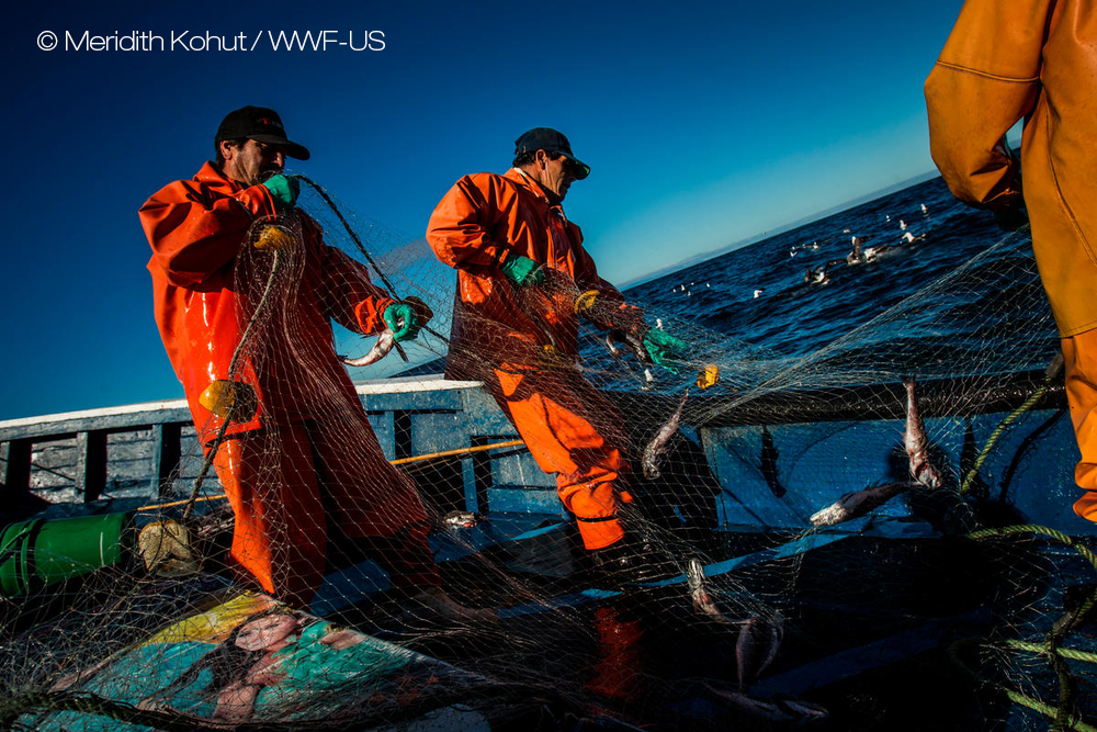Fishermen at pen