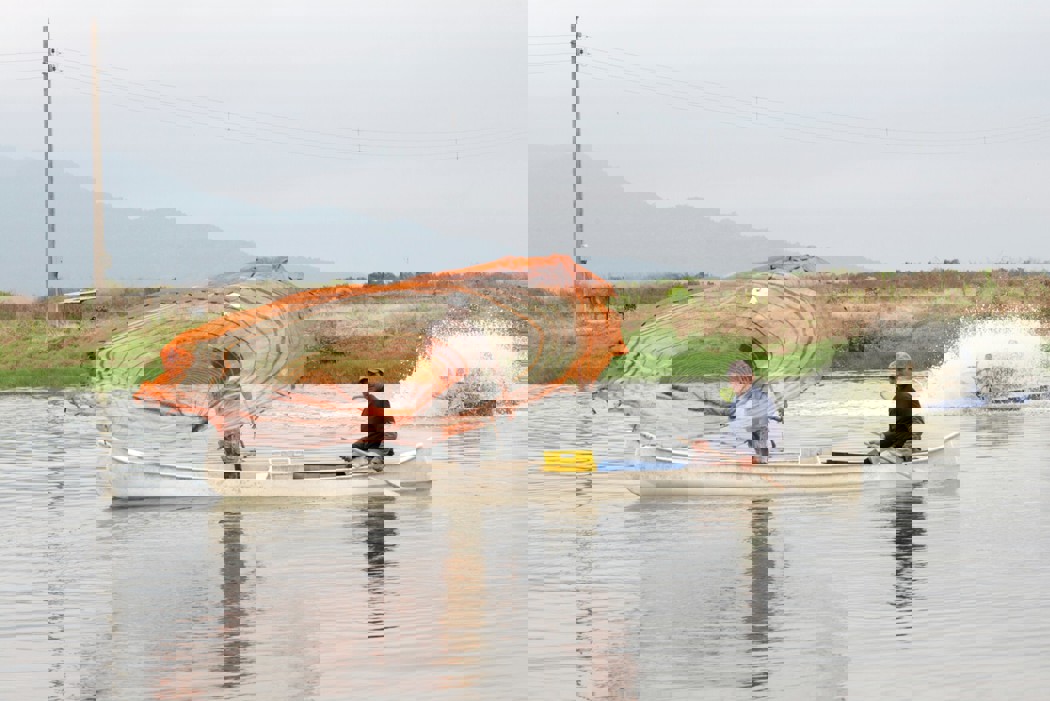 Shrimp farming in Ecuador