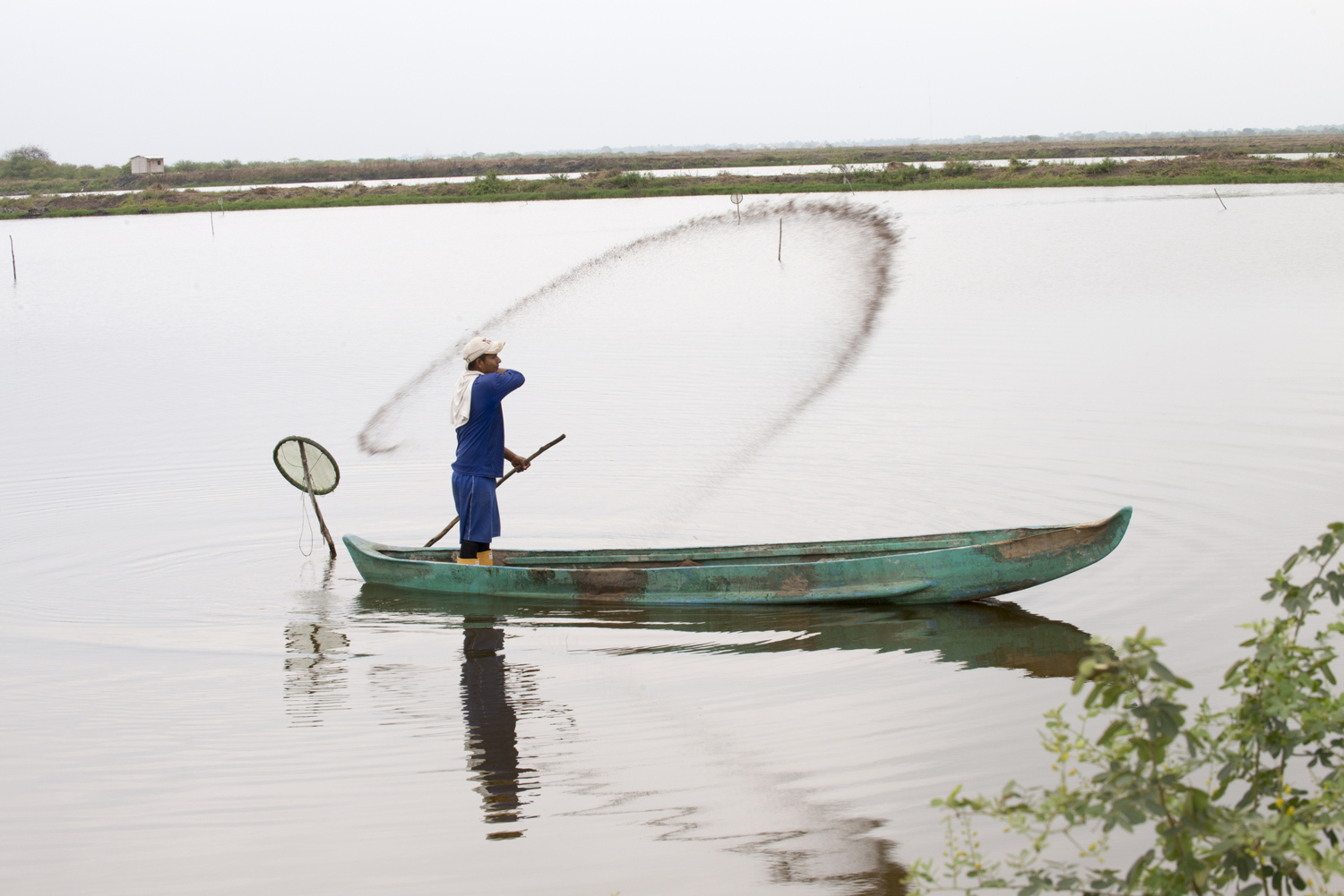 shrimp farm