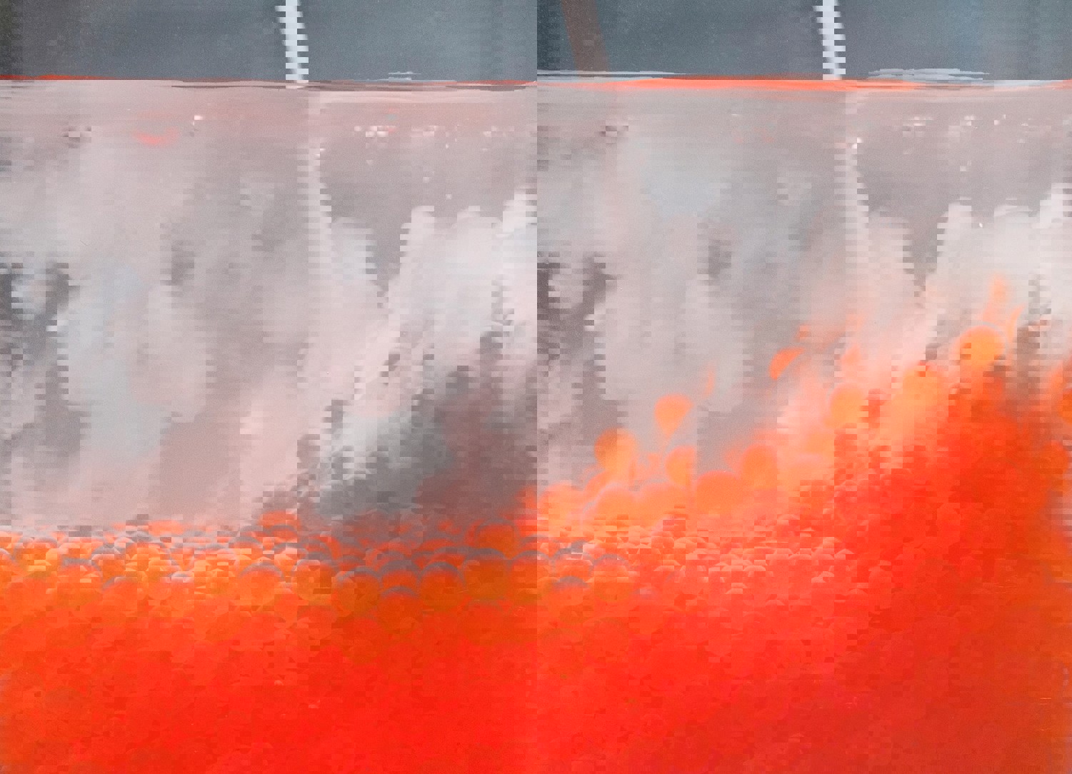 Roe