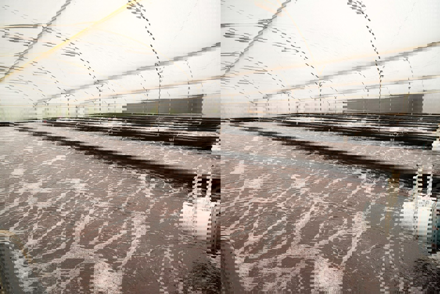 Fish farm