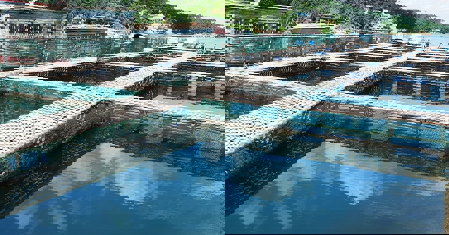 Fish farm