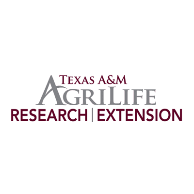 TAMU logo
