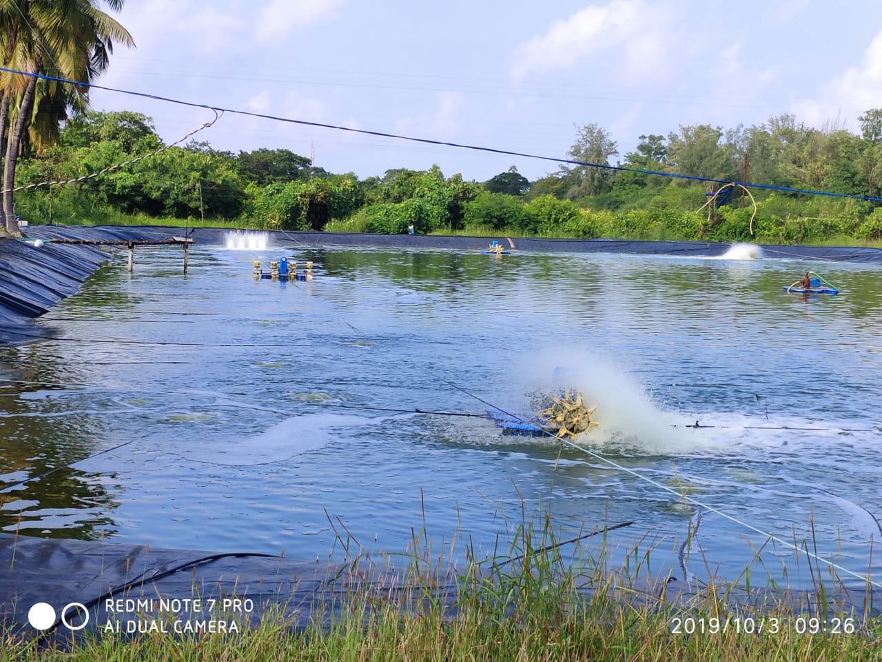 Aquaculture Pond