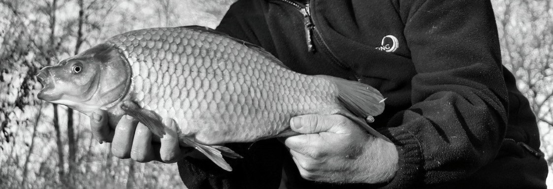 Skretting fish feed banner