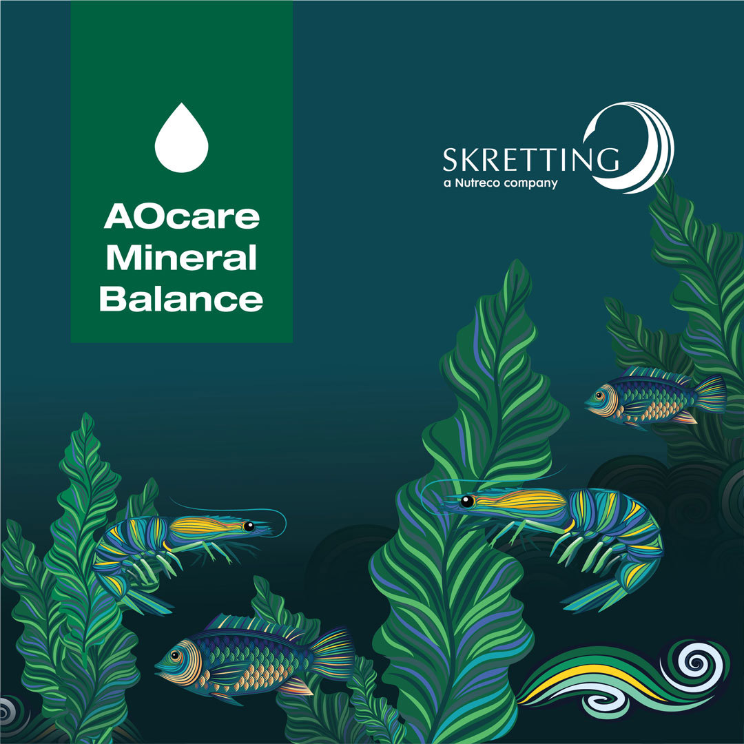 Mineral-Balance-Brochure