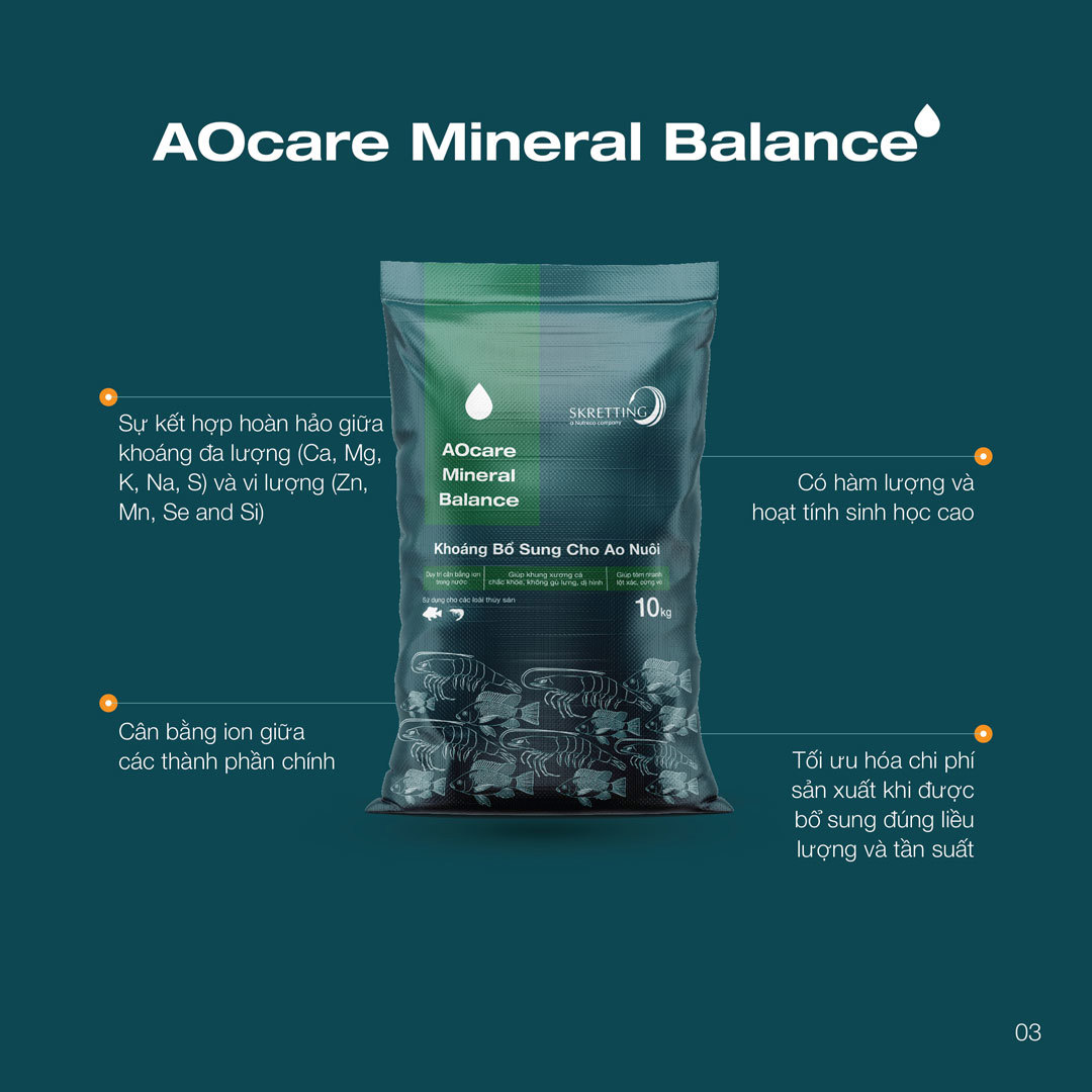 Mineral-Balance-Brochure