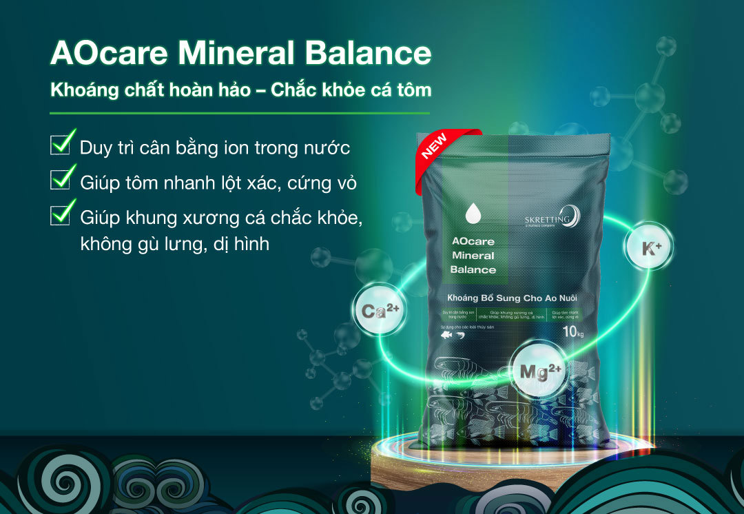 Mineral-Balance-Brochure