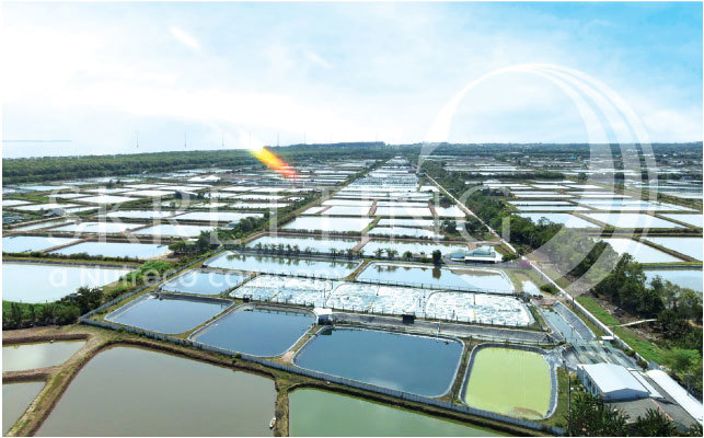 Skretting - Cung cấp các giải pháp sáng tạo và hiệu quả cho ngành NTTS