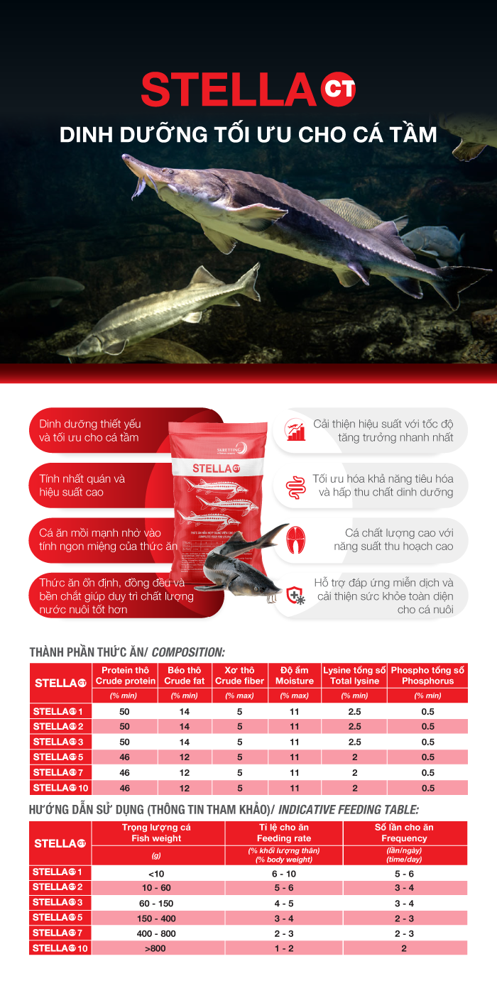 Stella info