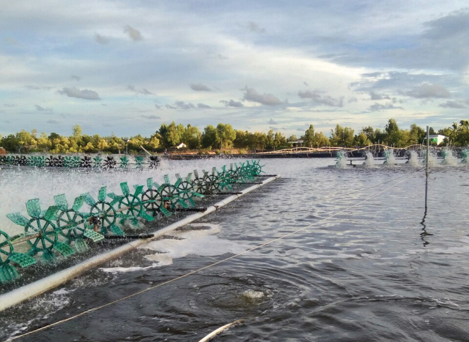 Giam-stress-chong-soc