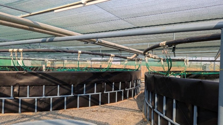 Nursery