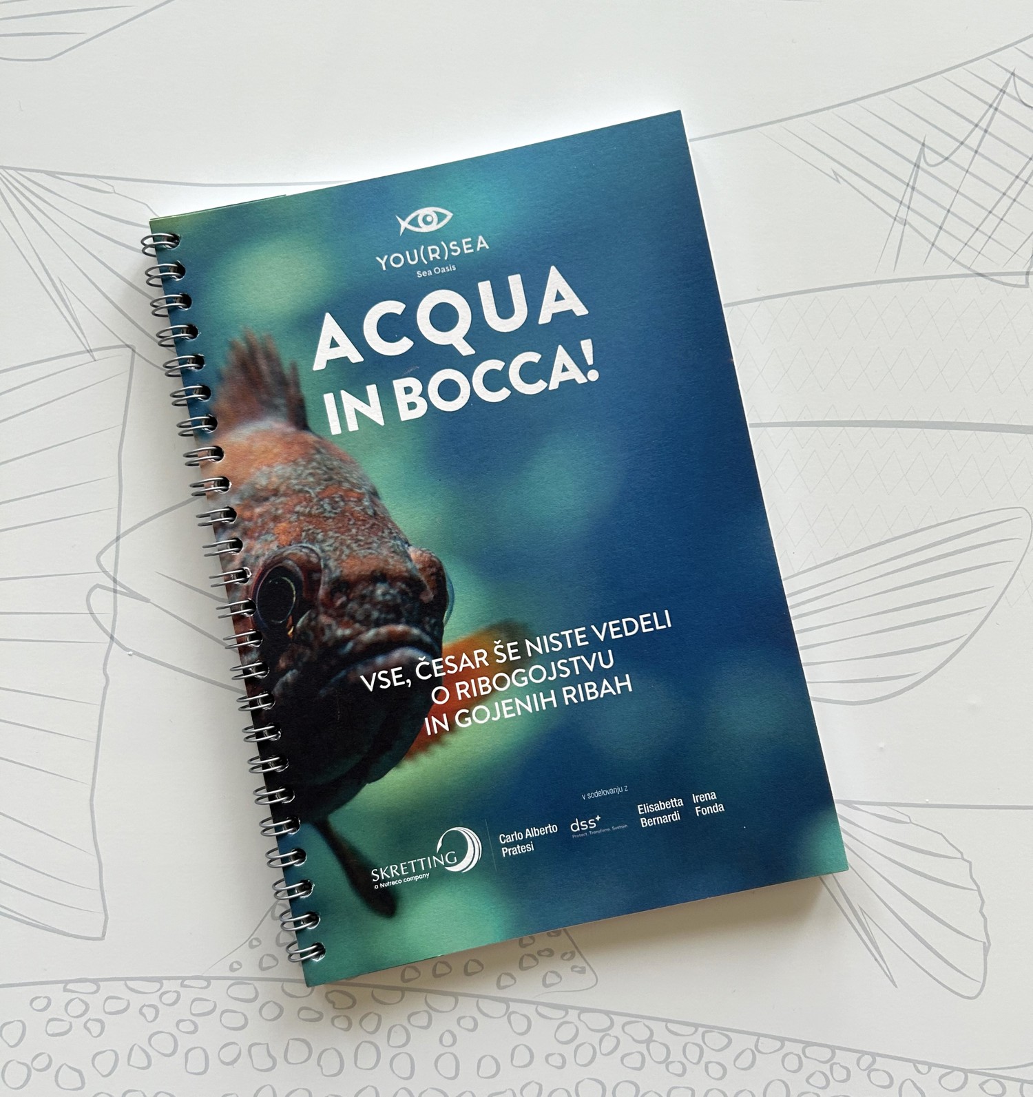 Aqua in Bocca cover