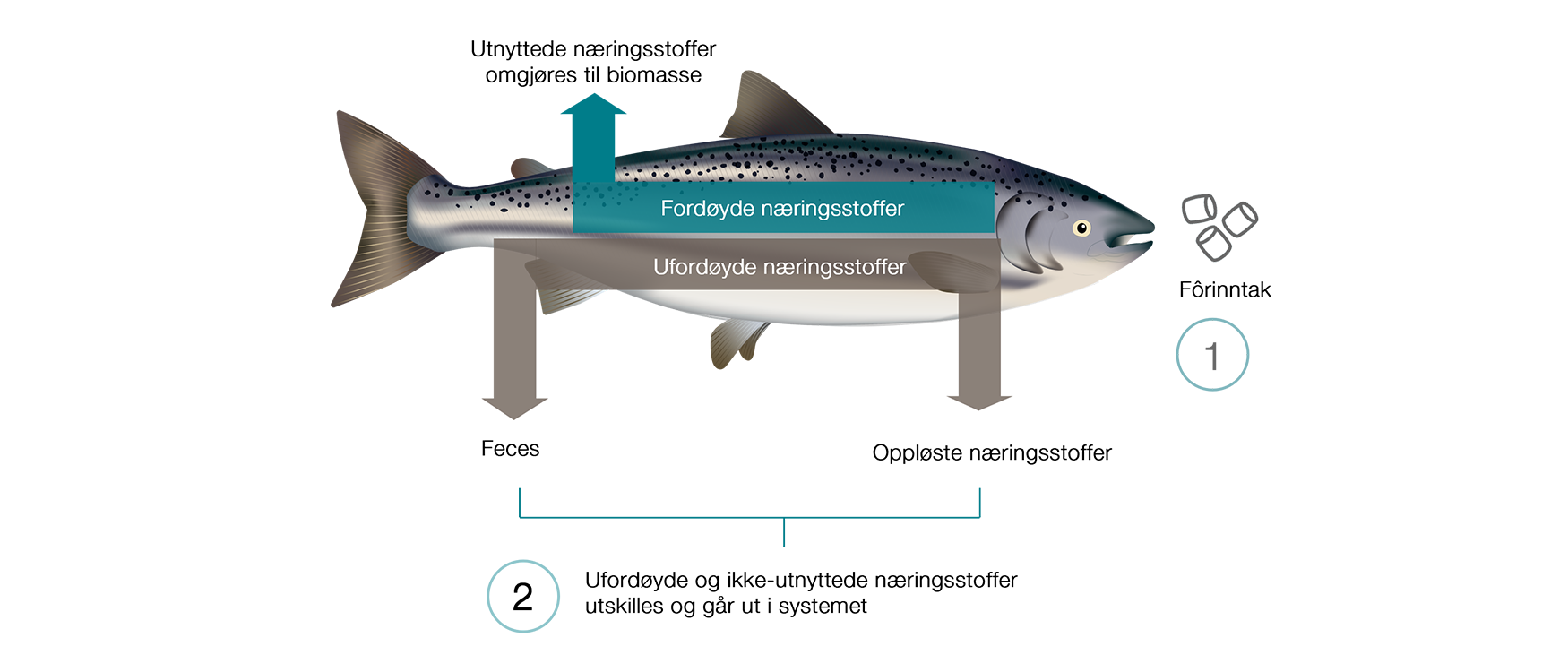 Figur som beskriver utslippsmodellen til Skretting