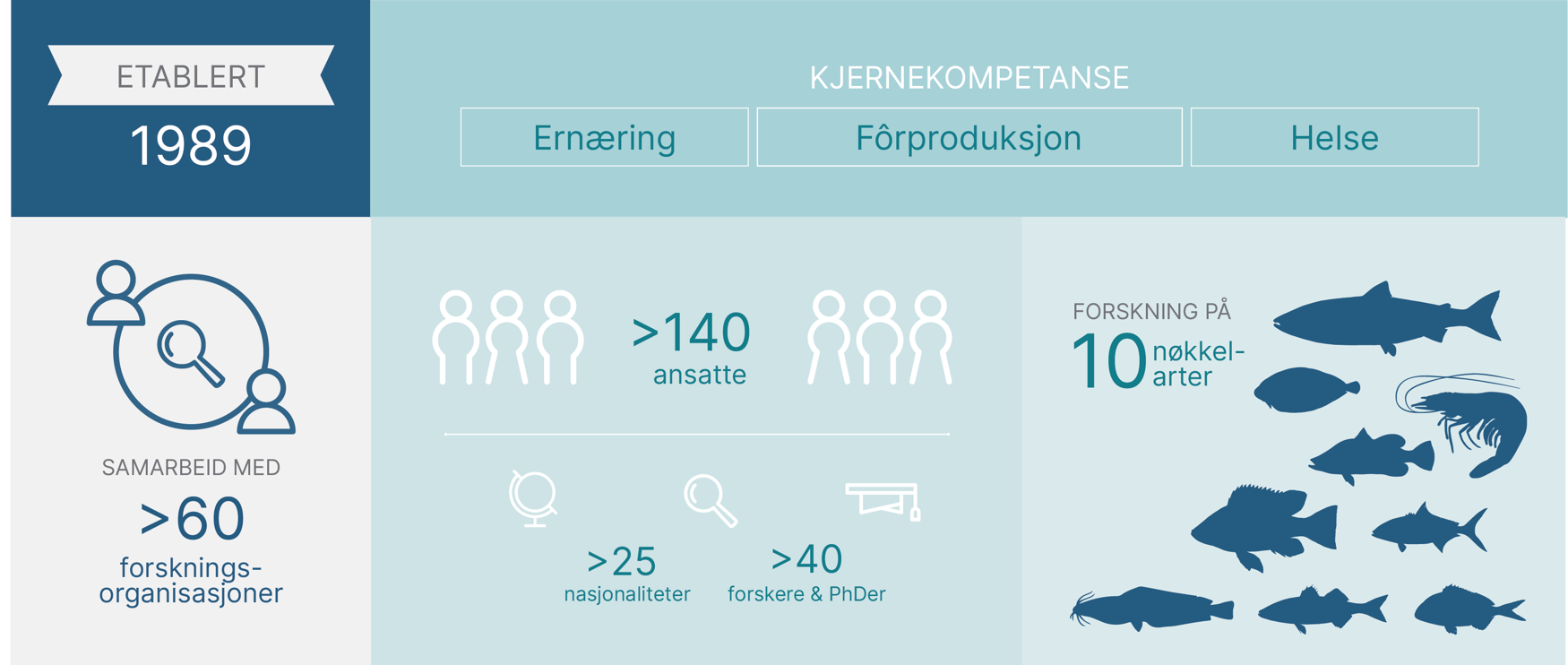 Nøkkeltall fra Skretting AI