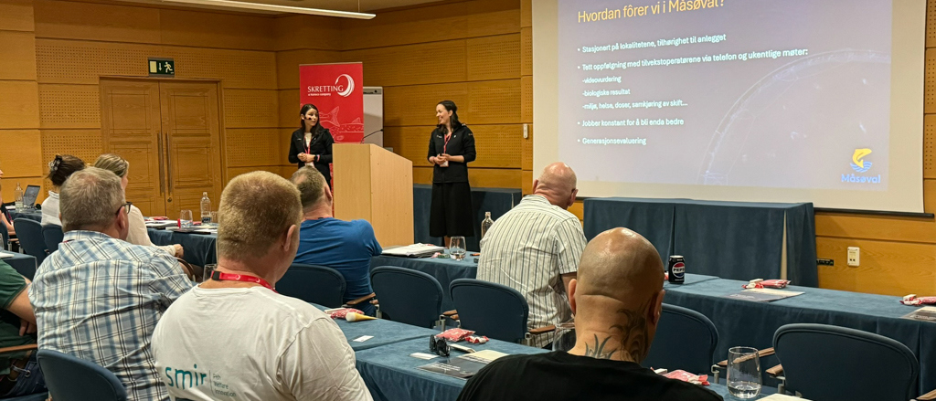 Måsøval presenterer fôring