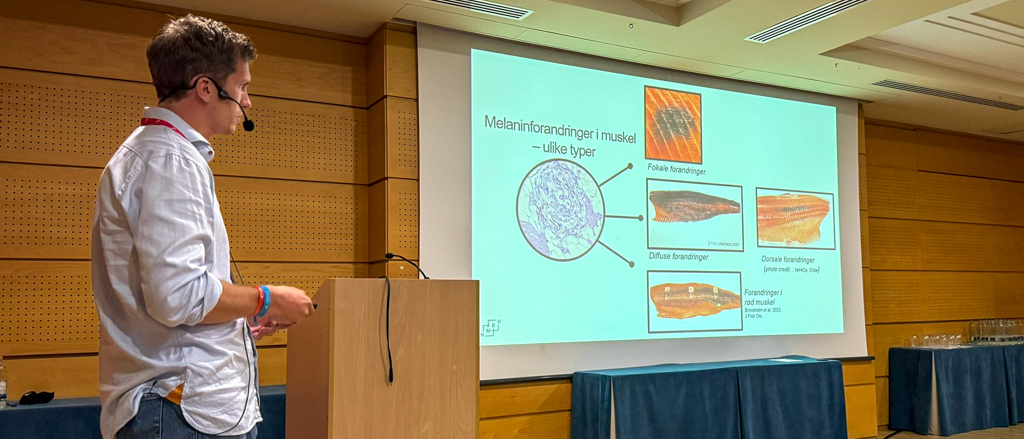 Håvard Bjørgen presenterer siste nytt om melanin.