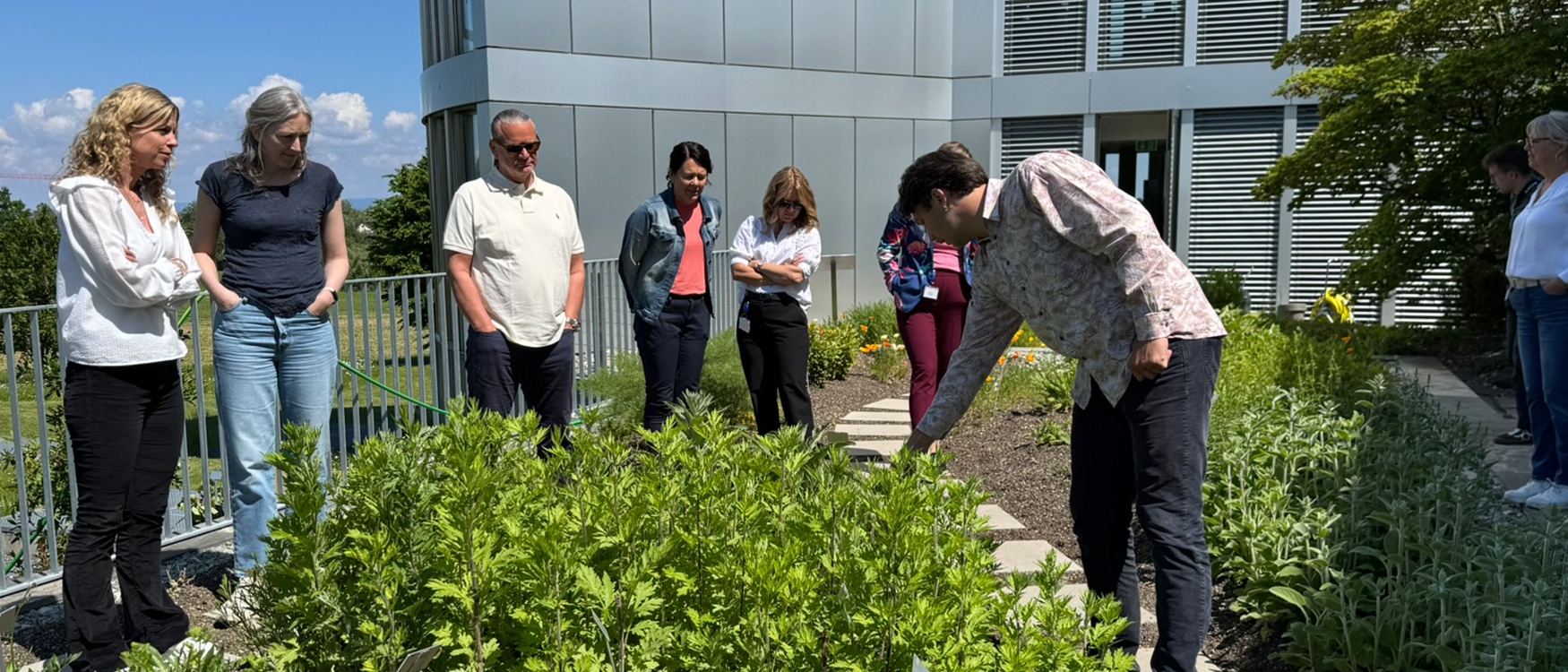 Norske oppdrettere besøker Nutreco Garden of The Future i Sveits. 