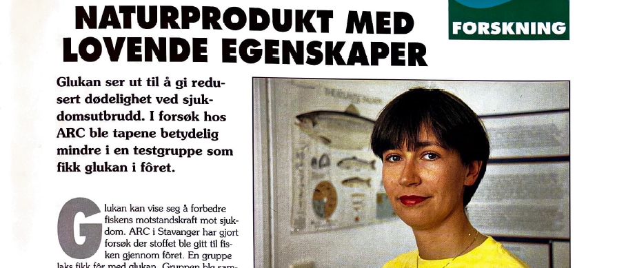 Reportasje fra Merdkanten i 1992. Forsøksresultater med glukan i fôr