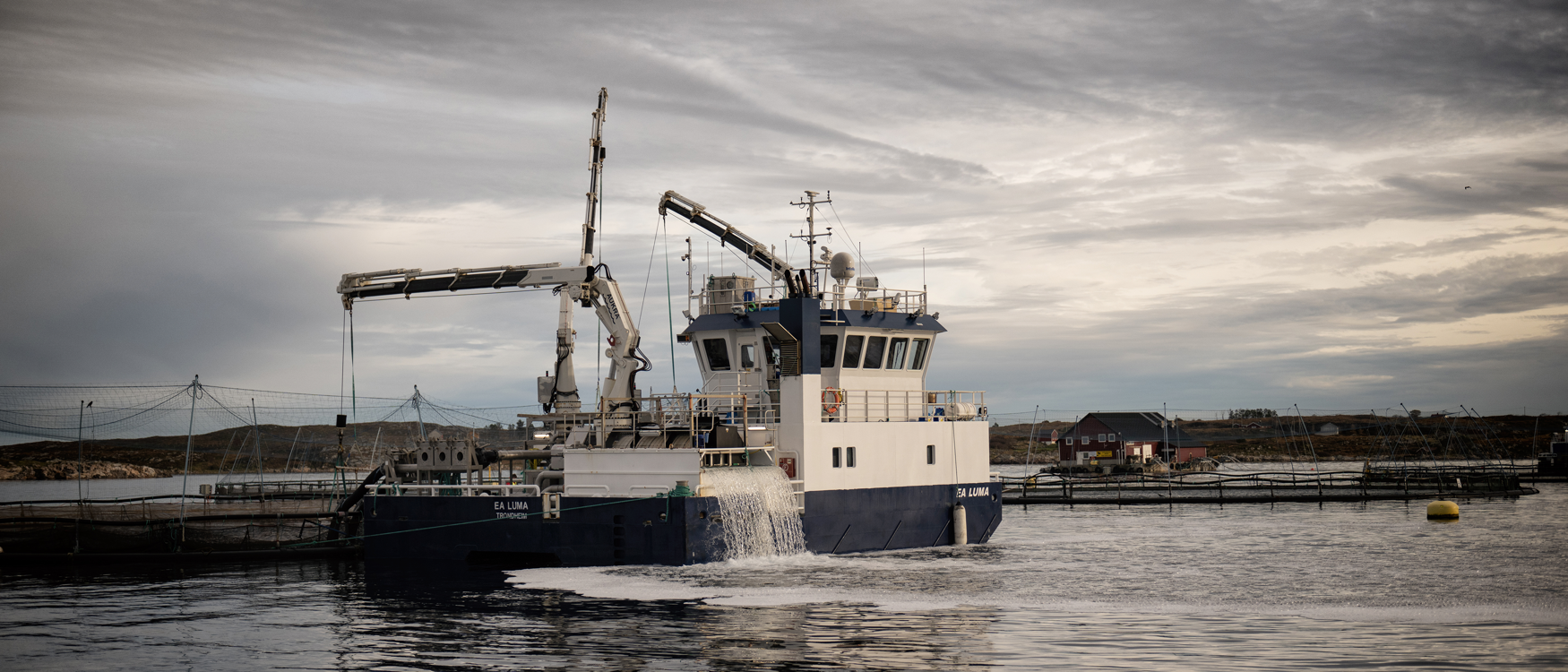 Fartøy EA Luma