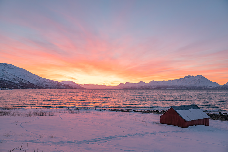 Skretting har dokumentert at laks produserer vitamin D fra sollys som oss mennesker, og øker mengden vitamin D når fisken har lite eller ingen tilgang på sollys. Foto: Shutterstock/Jørn Holm 