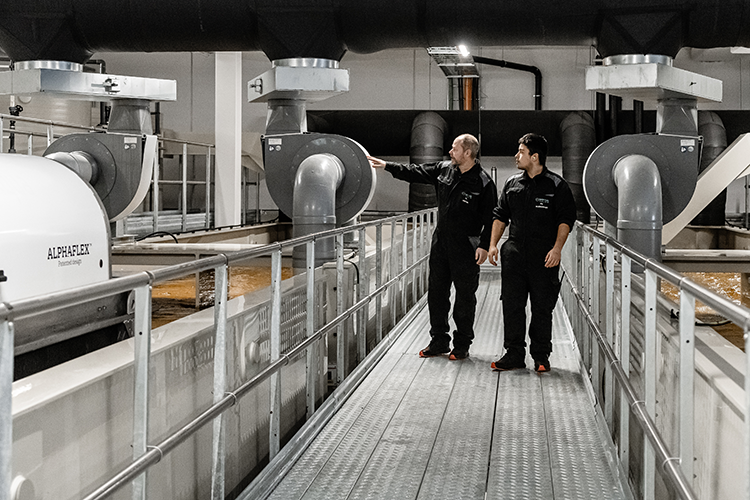 Neptun Salmo sitt nye RAS anlegg. Foto: Neptun Salmo