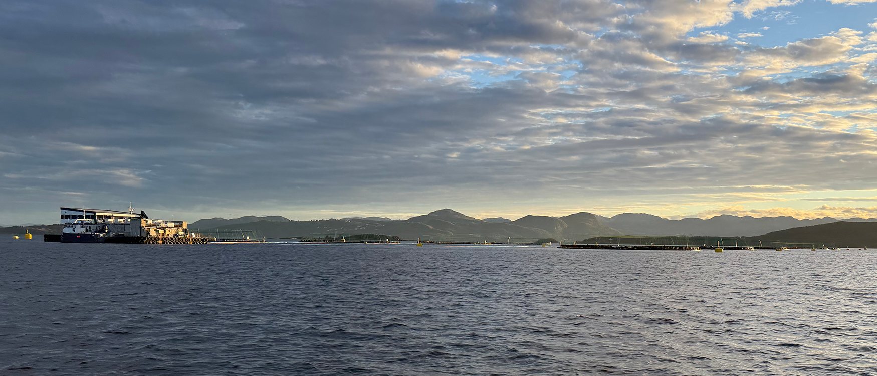 Valideringsforsøket benytter Skretting sin FoU-konsesjon dedikert til helsefôr, som driftes i samarbeid med Grieg Seafood Rogaland. 