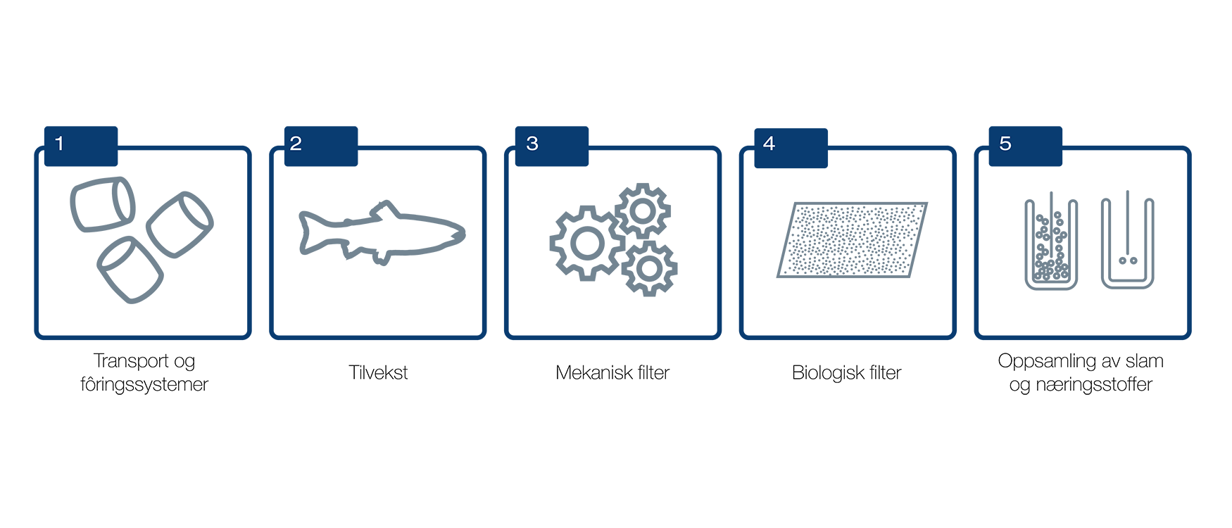 Fiskefôr sin reise gjennom RAS anlegg