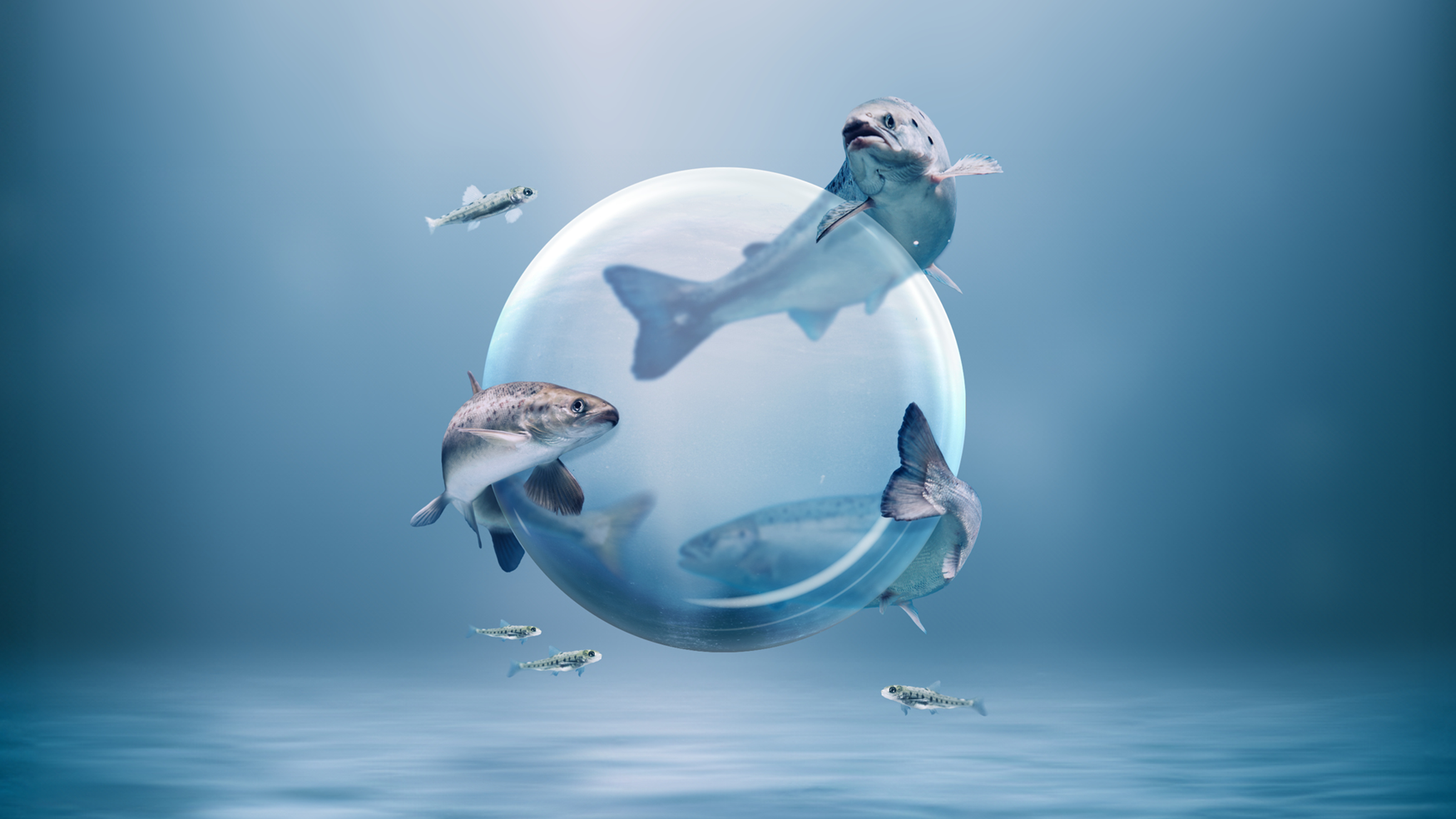 Nutra Terra graphics - salmon around a sphere