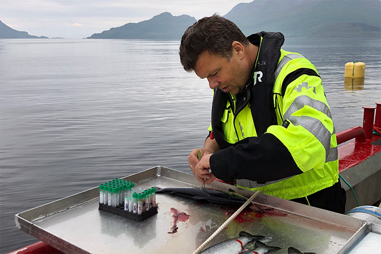 Veterinær Steinar Myrvold hos Ellingsen Seafood