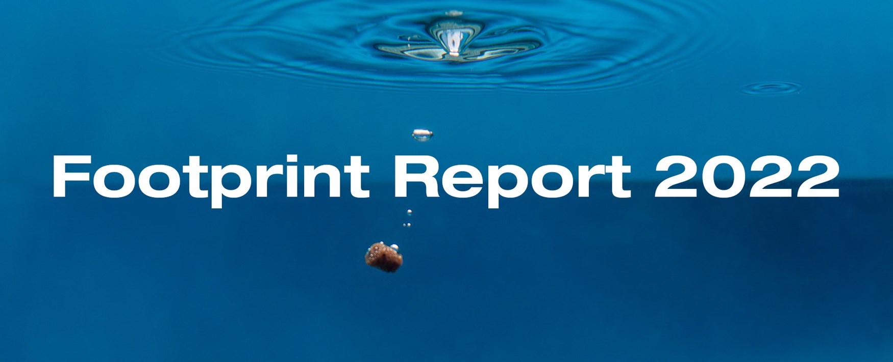 Footprint report 2022 Skretting Norway