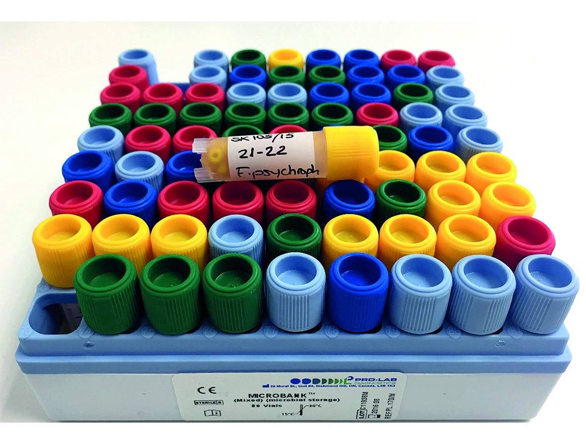 Informes de Patología Skretting
