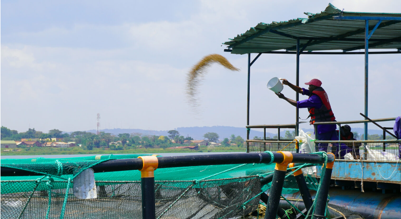 Farmers in Africa