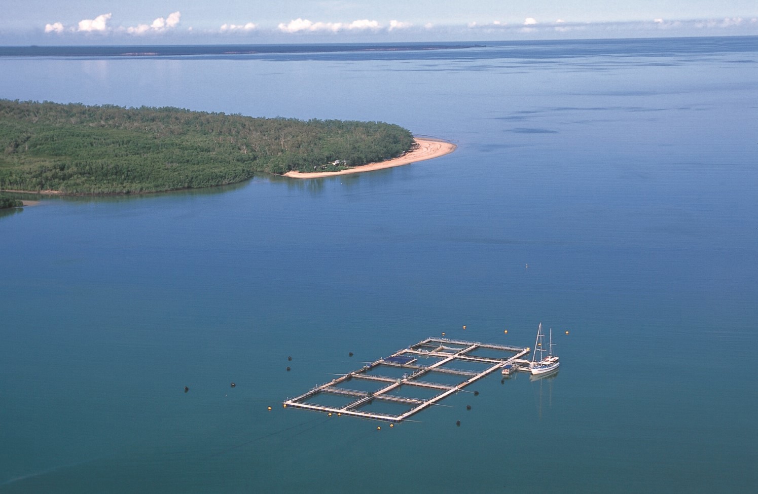 An aerial view of a fish farm at sea